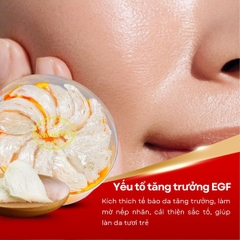 Tổ Yến Tinh Chế  - Hộp 10g