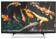Tivi LED 43 inch Sony KD43X8000E Giá Tốt