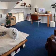 THANH LÝ- THẲM GIẢN - XANH NAVY