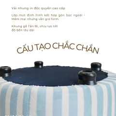 ĐÔN KẸO MÚT