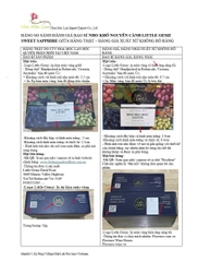 CẢNH BÁO CHÍNH THỨC: SẢN PHẨM LITTLE GEMZ GIẢ MẠO XUẤT HIỆN TRÊN THỊ TRƯỜNG VIỆT NAM