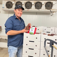 Nho khô nguyên cành Adora Crimson Dried Table Grapes Cluster