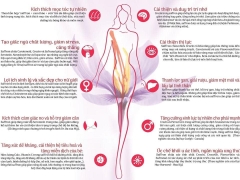 Nhụy hoa nghệ tây saffron premium negin 3g tây á