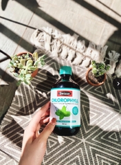 Nước diệp lục Swisse Chlorophyll thanh lọc cơ thể nhập khẩu Úc 500ml (Xanh)