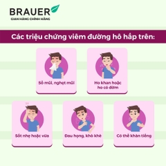 Siro giảm các triệu chứng cảm cúm, cảm lạnh Brauer Black Elederberry cold and flu forte (100ML)