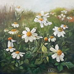 Mật ong rừng hoa xuyến chi golden honey bidens pilosa blossom honey - mật ong nguyên chất từ cánh đồng hoa cỏ kim 500ml