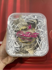 Yến sào thô Extaste Brid’s Nest 100gr thơm ngon bổ dưỡng