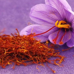 Nhụy hoa nghệ tây Tashrifat Saffron hỗ trợ làm đẹp và tăng cường sức khỏe 1g