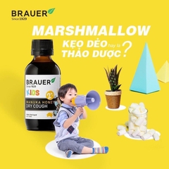 Siro giảm ho khan Brauer Kids Manuka Honey Dry Cough 100ml cho trẻ từ 2 tuổi trở lên