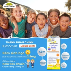 Nature’s Way Kids Smart Liquid ZinC 100ml – Bổ sung kẽm nước tăng sức đề kháng cho bé