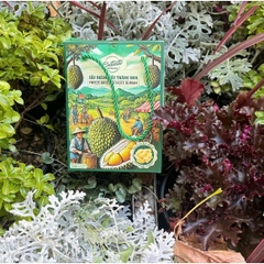 Sầu riêng sấy thăng hoa Freeze Dried Extaste Durian 100g Ready to eat Snack