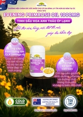 Tinh dầu hoa Anh Thảo Nature's Way evening primrose oil hỗ trợ cân bằng nội tiết tố nữ 60 viên