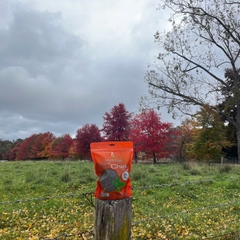 Hạt chia hữu cơ Úc Organic Chia Seed Nature Superfood gói 1kg