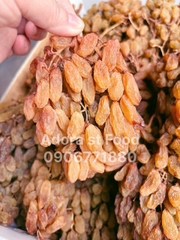Nho khô nguyên cành Adora st Food Dried Grapes Cluster Thompson 500g đặc sản Úc