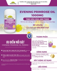 Tinh dầu hoa Anh Thảo Nature's Way evening primrose oil hỗ trợ cân bằng nội tiết tố nữ 60 viên