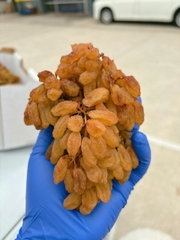 Nho khô nguyên cành Adora st Food Dried Grapes Cluster Thompson 4kg A
