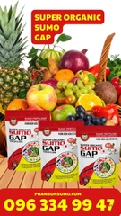 SUPER ORGANIC SUMO GAP - TÚI 1 KG