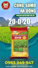 LÚA 3