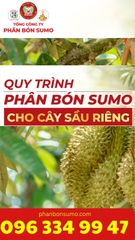LÂN ĐEN CANXI – MAGIÊ – LÂN