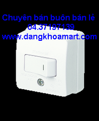 Công Tắc B, 1 chiều Loại Nổi WSG3001