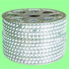 Đèn Led dây ngoài trời NST0604