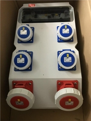 Tủ điện IP67 PCE 9029057