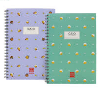 Sổ lò xo Hồng Hà 4177