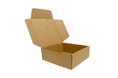 Hộp xếp Carton nắp gài