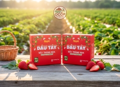 Dâu Tây Sấy Thăng Hoa - NGUYÊN HƯƠNG