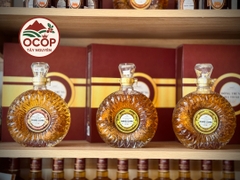 Rượu Đông Trùng Hạ Thảo