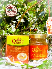 Tổ Yến Chưng Đông Trùng Hạ Thảo