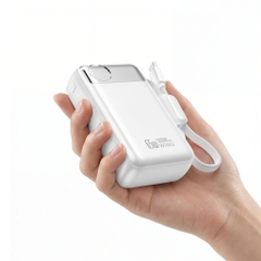 PIN DỰ PHÒNG WIWU POWER PLUS 12.000MAH | 65W