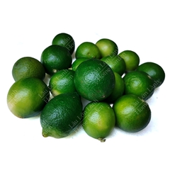 🍋 CHANH KHÔNG HẠT - 1KG - CKH001