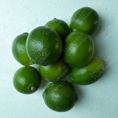 🍋 CHANH KHÔNG HẠT - 1KG - CKH001