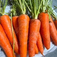 🥕 CÀ RỐT ĐÀ LẠT - 1KG - CRD001