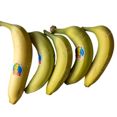 🍌 CHUỐI GIÀ NAM MỸ - 1KG - CNM001