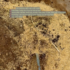 🌱🌱GIÁ THỂ TRỒNG RAU CỦ LÂU–LỚN–LÀNH _ DÙNG NGAY KO CẦN PHA TRỘN _ BAO 50dm3