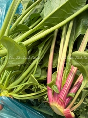 🍃 CẢI BÓ XÔI (SPINACH – RAU CHÂN VỊT) XANH LÀNH VỪA HÁI  Túi 500GR – RSP001