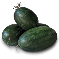 🍉 DƯA HẤU MIỀN TÂY - 1KG - DMT001