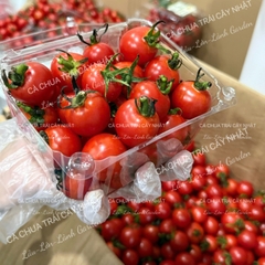🍅CÀ CHUA TRÁI CÂY NHẬT CAO CẤP ECO SWEET - 500Gr CTE001 - MIX NOVA MỸ