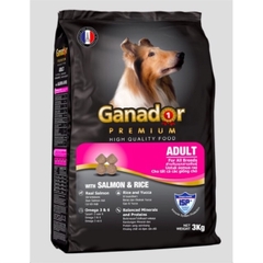 Ganador cá hồi và gạo 3kg