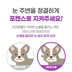 Dung dịch vệ sinh mắt forcans 100ml