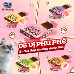 Súp Thưởng Mèo - SilverSpoon - Dạng Thìa - 10Gram (Gói 4 Thìa)