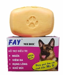 Fay xà phòng cục