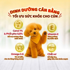 Hạt cún - Silver spoon - Nhiều vị - 700gram