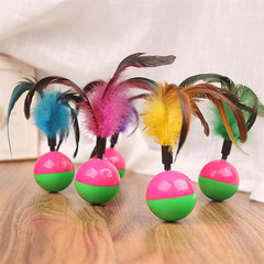 Bóng lông vũ lật đật