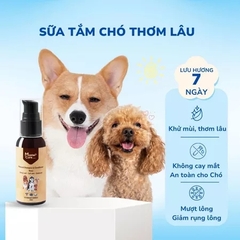 Sữa tắm MasterCare cho chó