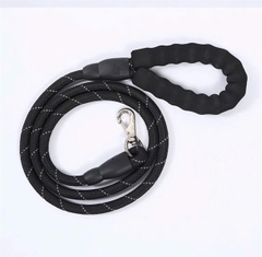 Dây dắt dòng chó lớn