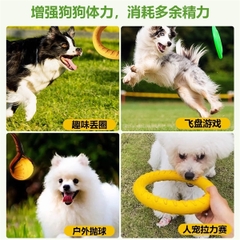 Vòng Ném Chụp Cho Chó