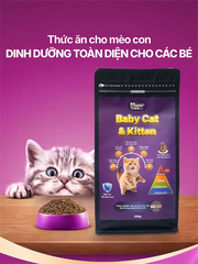 Hạt MasterCare Cho Mèo Con Dễ Tiêu Hóa Tăng Cường Miễn Dịch Giàu Canxi - 500gram